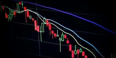 Forschungszulage Rechner